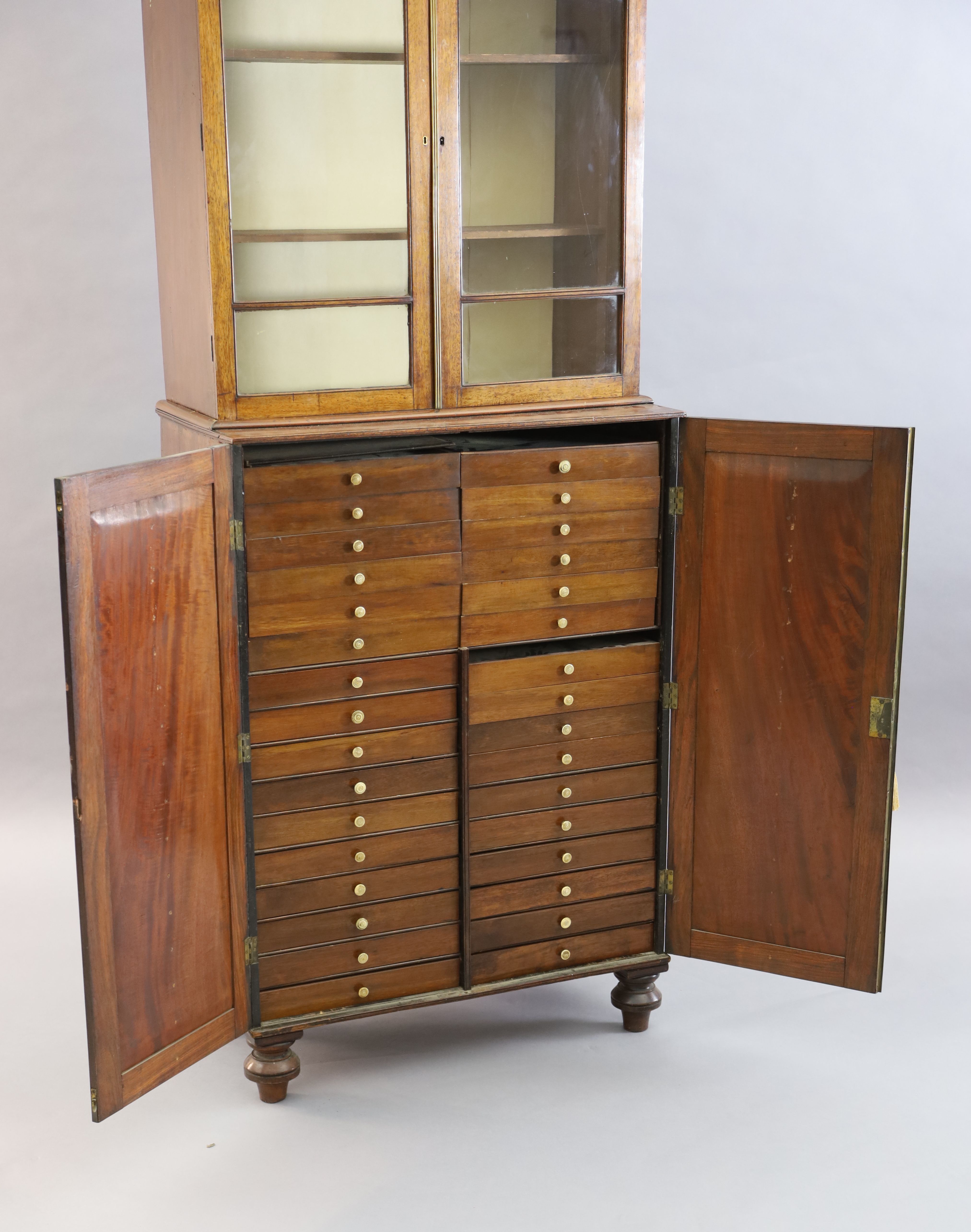 A Regency mahogany collectors cabinet, W.2ft 6in. D.1ft 4in. H.6ft 7in.